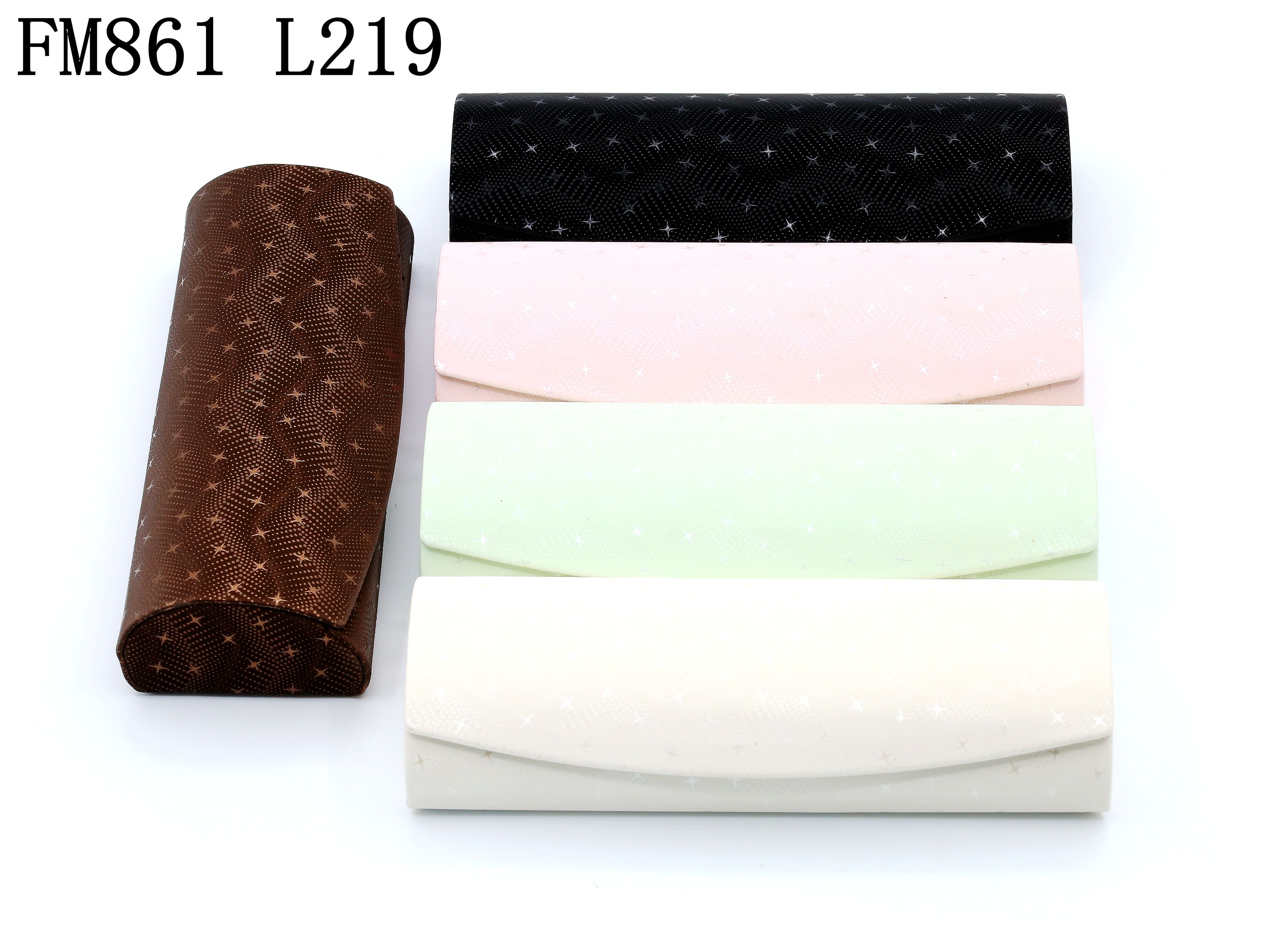 FM861-L219