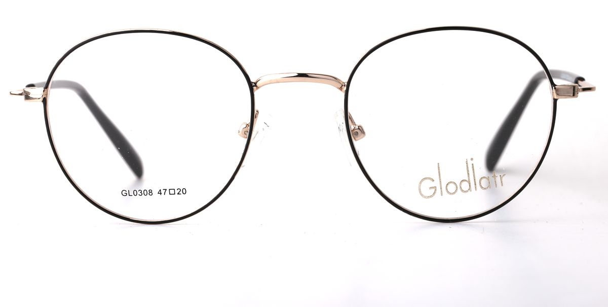 GL0308